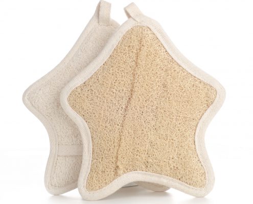 Star-Shap-Loofah-1w